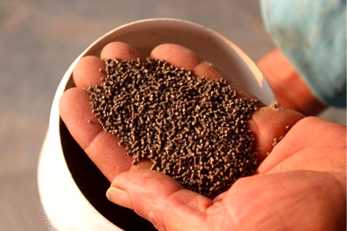 Cho tôm ăn cần rất nhiều kỹ thuật cơ bản